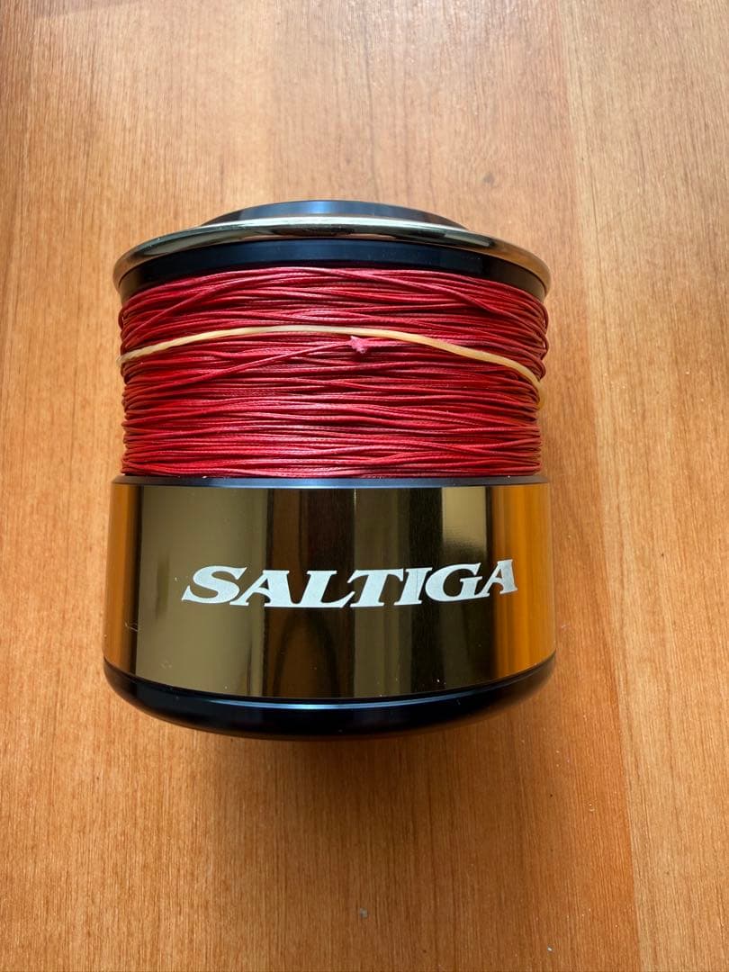 Daiwa SALTIGA 20000 SLPスプール