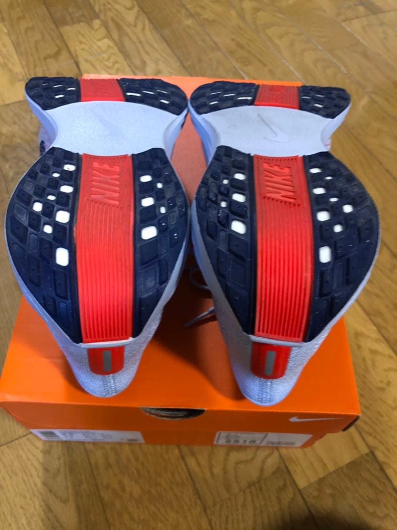 Nike　ナイキ　ペガサス プラス　27.5cm　メンズ