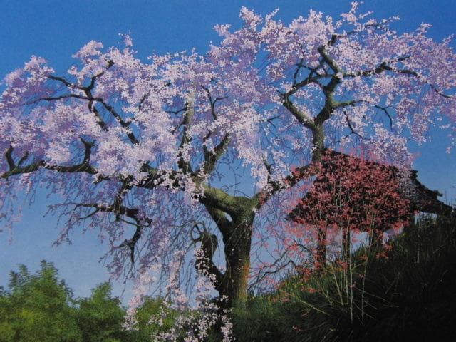 田中芳照、【春鐘】、希少な大判額装用画集より、美品、日本人画家、新品額装付
