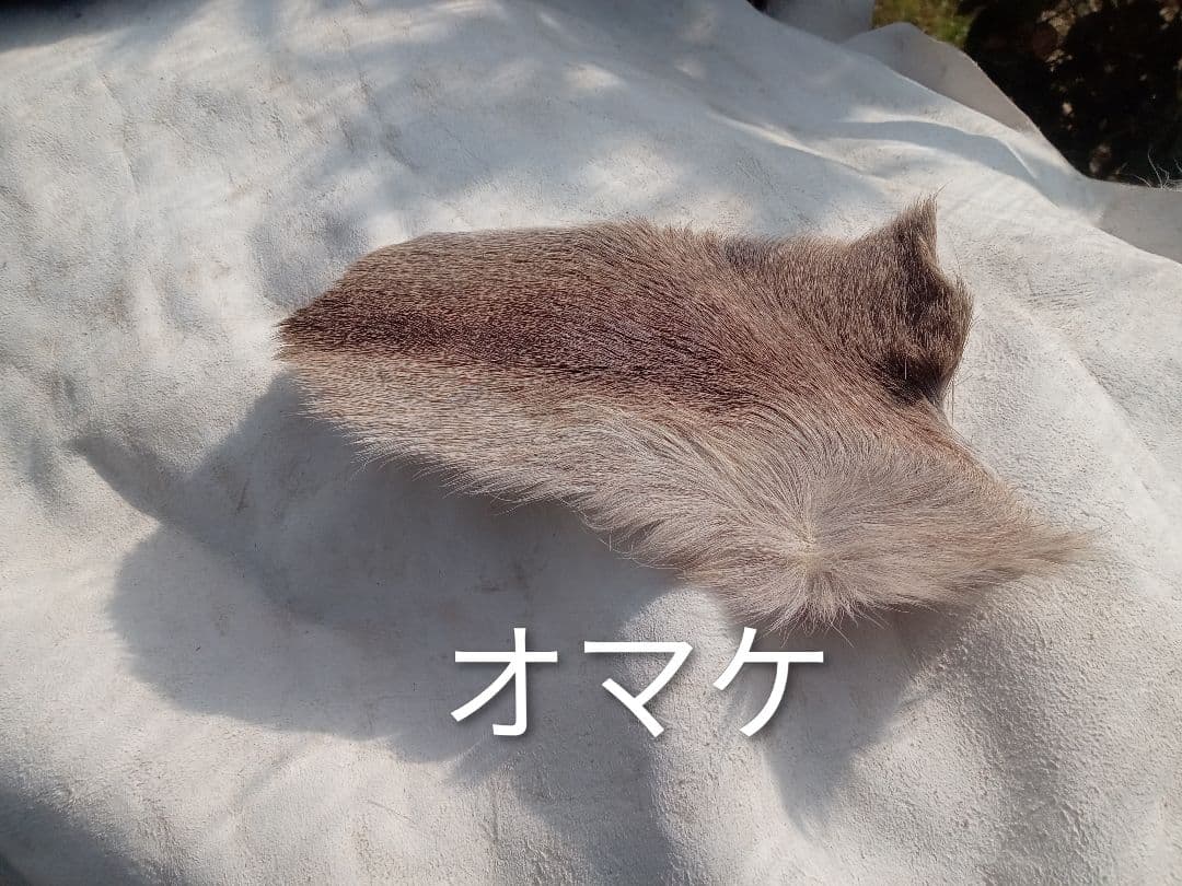 天然日本鹿　毛皮　ラグ　オマケ付き