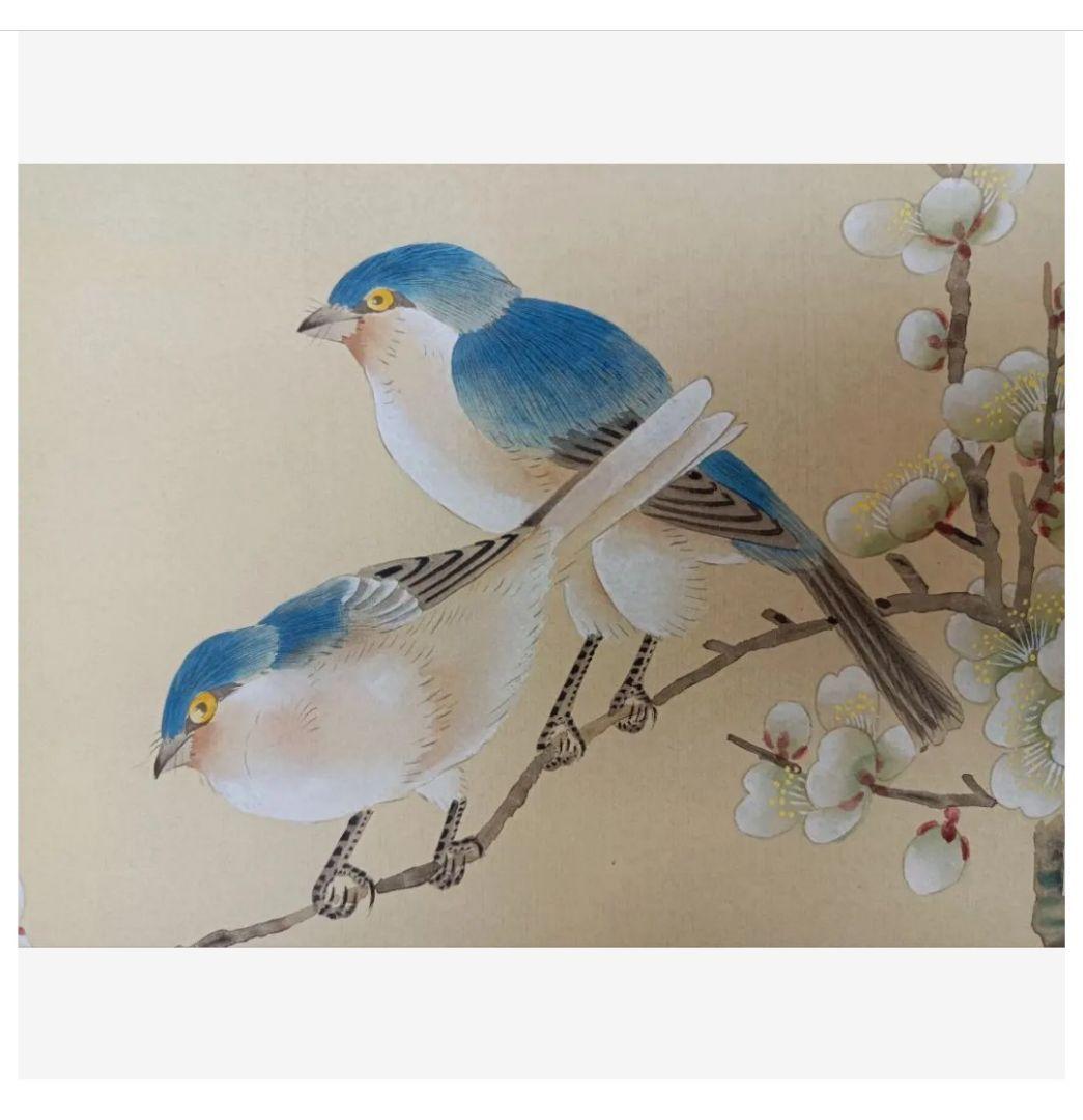 秀芳 幸せを運ぶ☘ルリビタキ桜椿画 共箱付き 花鳥 掛け軸 茶 和室 インテリア