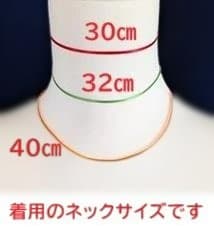 社交ダンス　スワロフスキーの素敵なネックレス