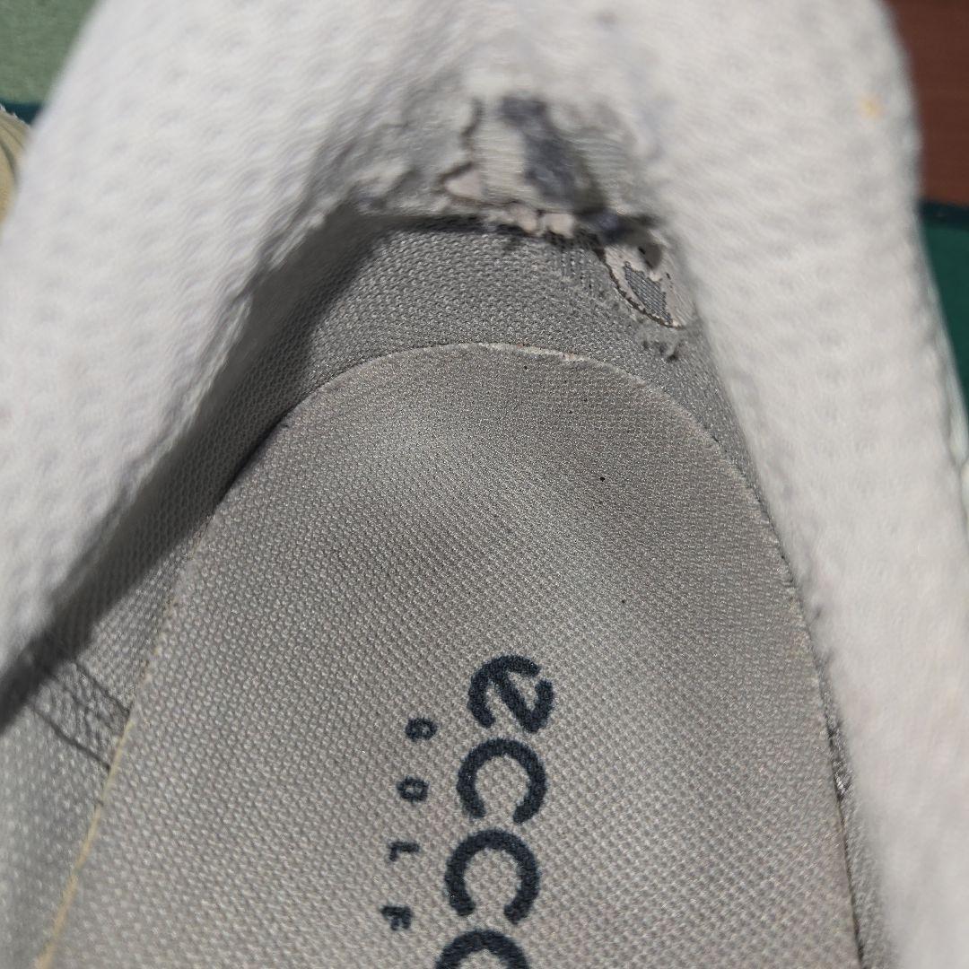 ECCO メンズシューズ EU41(JPN25.5cm) レザーソフトオイル付き