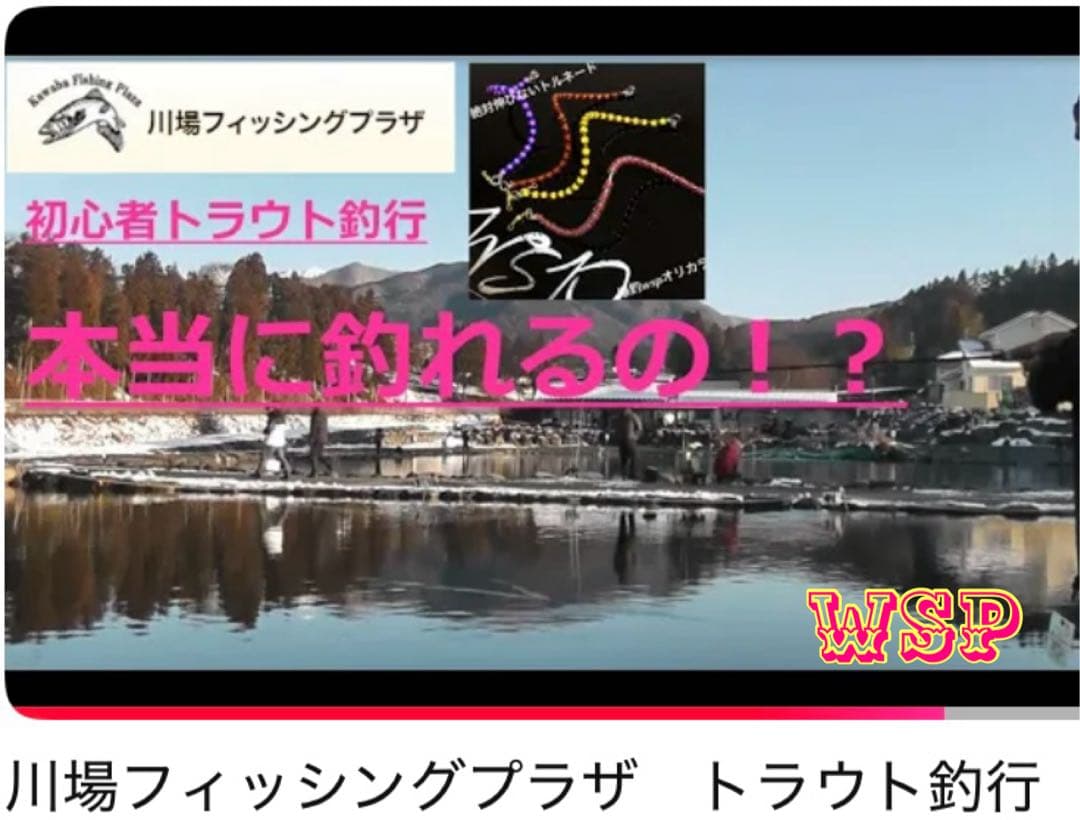 WSP ワスプ 形状記憶 巻き直し不要 エリアトラウト みえオーダー品