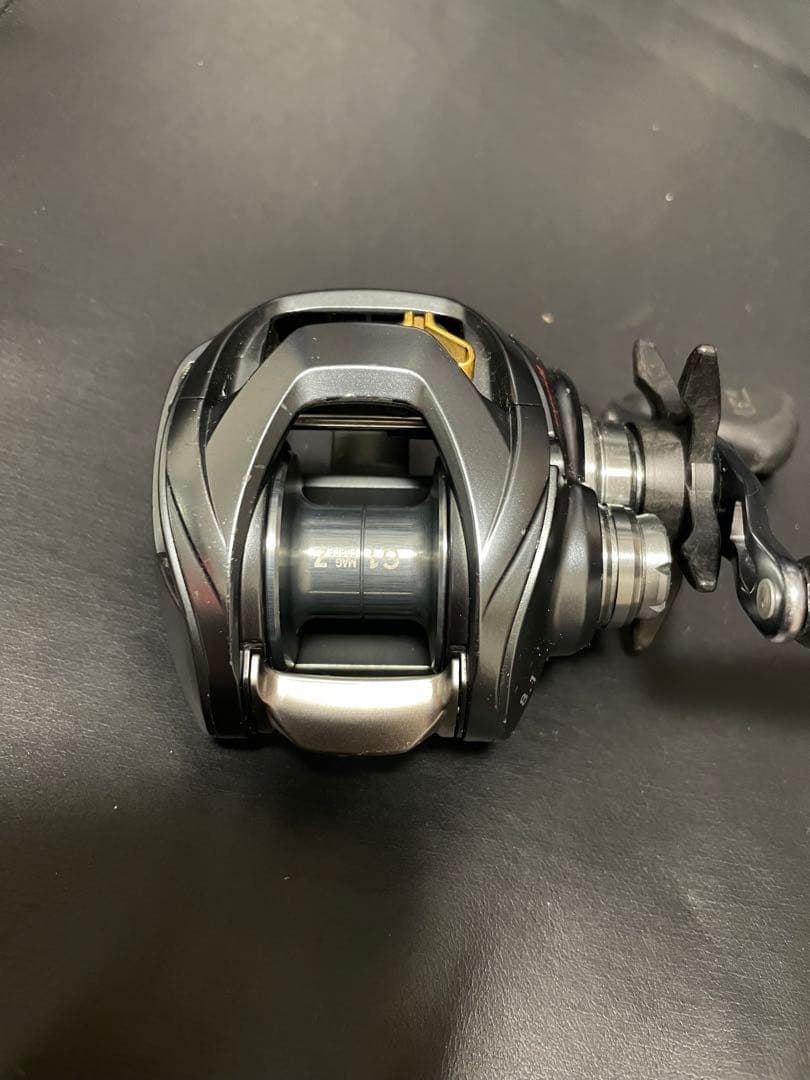 リール DAIWA STEEZ A TW 1016XH