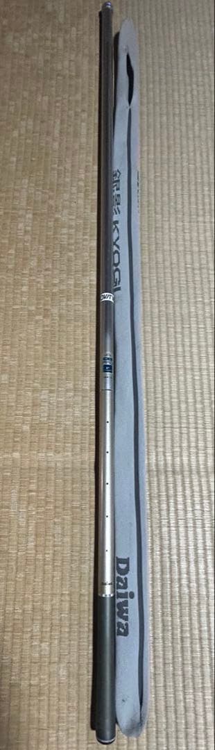 ダイワ銀影競技T•1スペシャル中硬硬100 VS銀影競技 中硬硬95 セット