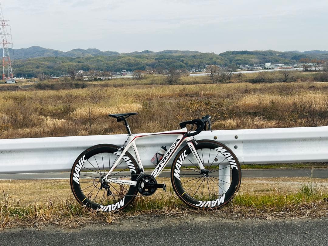 オルベア　オルカ　ブロンズ