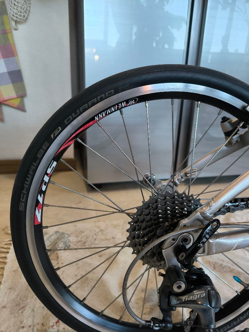 tern verge n8 シャンパンゴールド 改造有