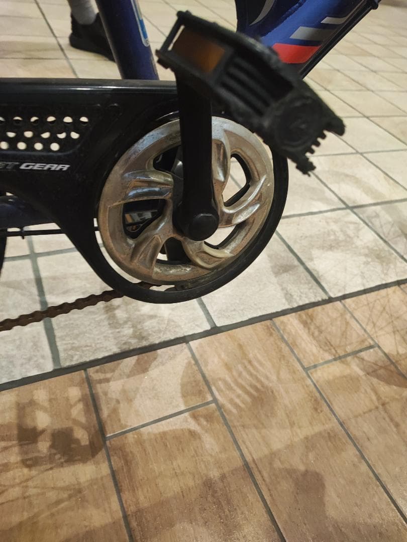 【引き取り限定】子ども用自転車　ブリジストン22インチ
