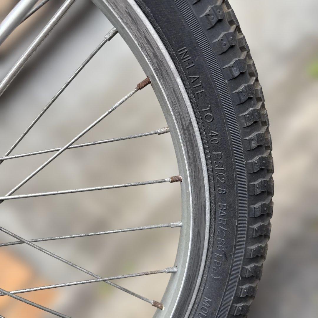 えみっちページ　自転車 こげーるneo