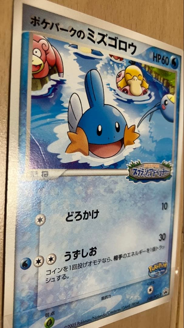 ポケパーク2005 限定ポケモンカード23枚セットプレミアムファイルブルーシート