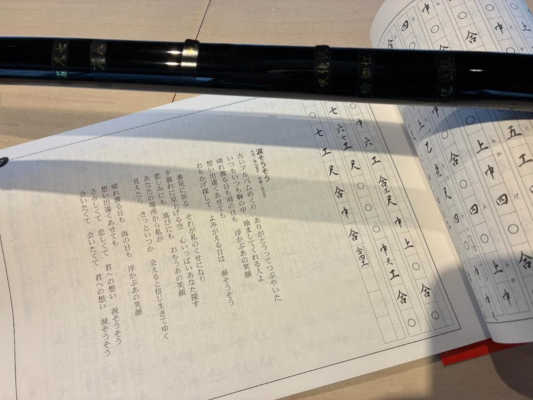 【BEGINゆかりの名店で購入】沖縄三線本格セット ハードケース・教則本・バチ付