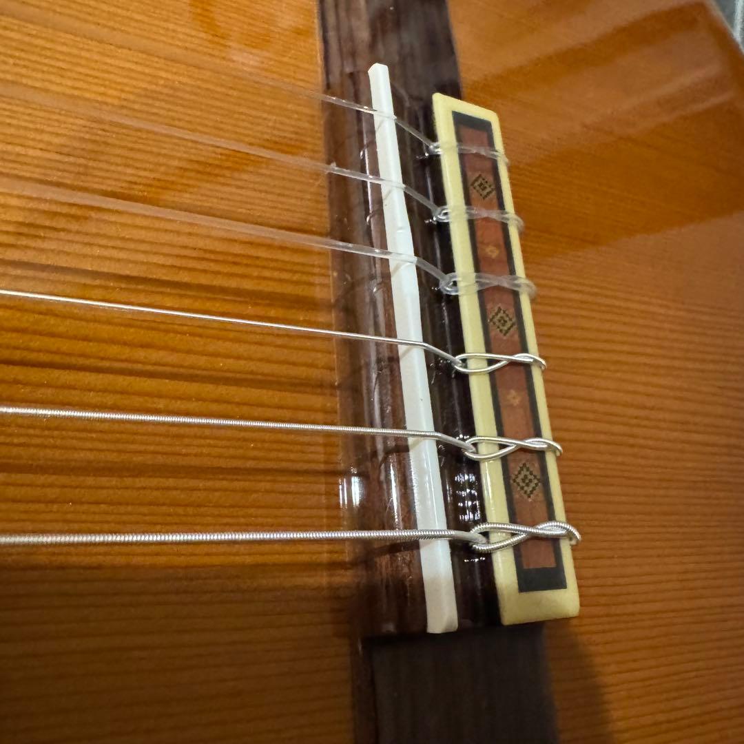 廃盤 弦新品 YAMAHA クラシックギター CG-171C CG171C