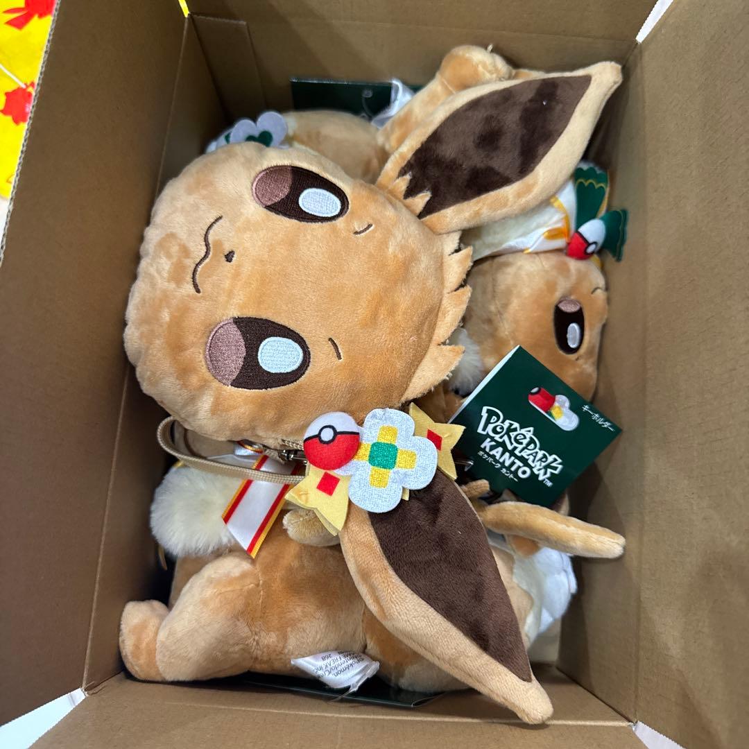 ポケパ関東60サイズ