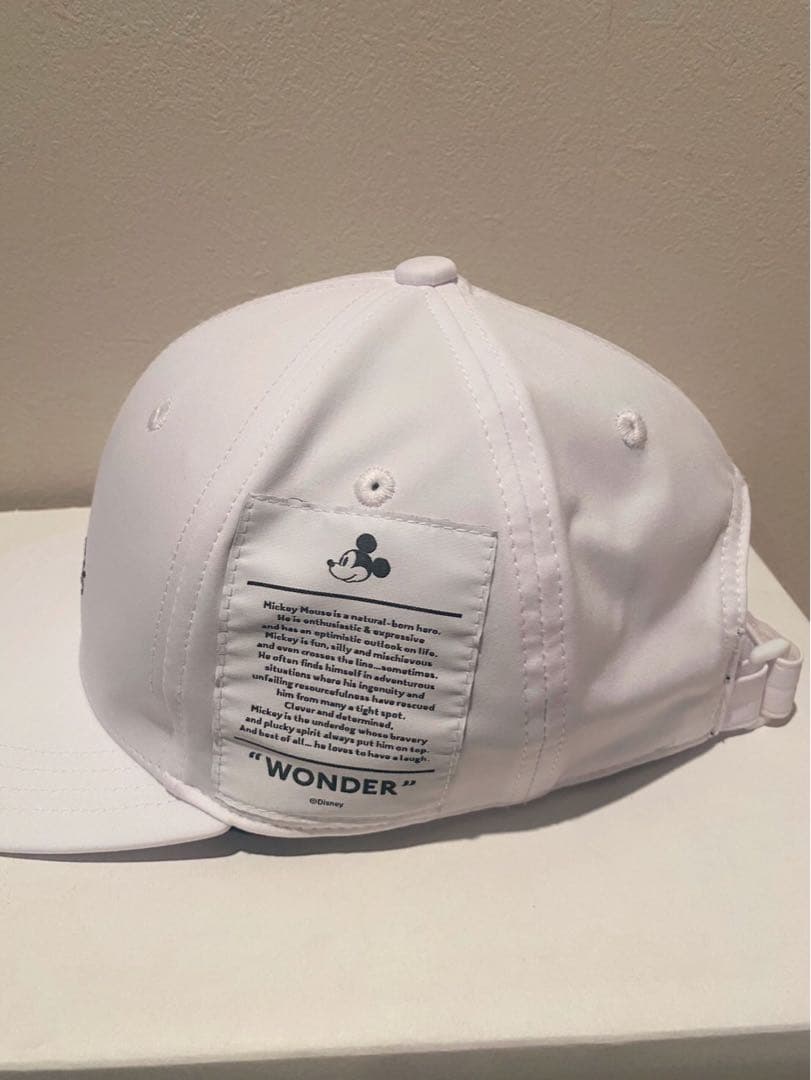 【レア美品】PEARLY GATES×Disneyキャップ