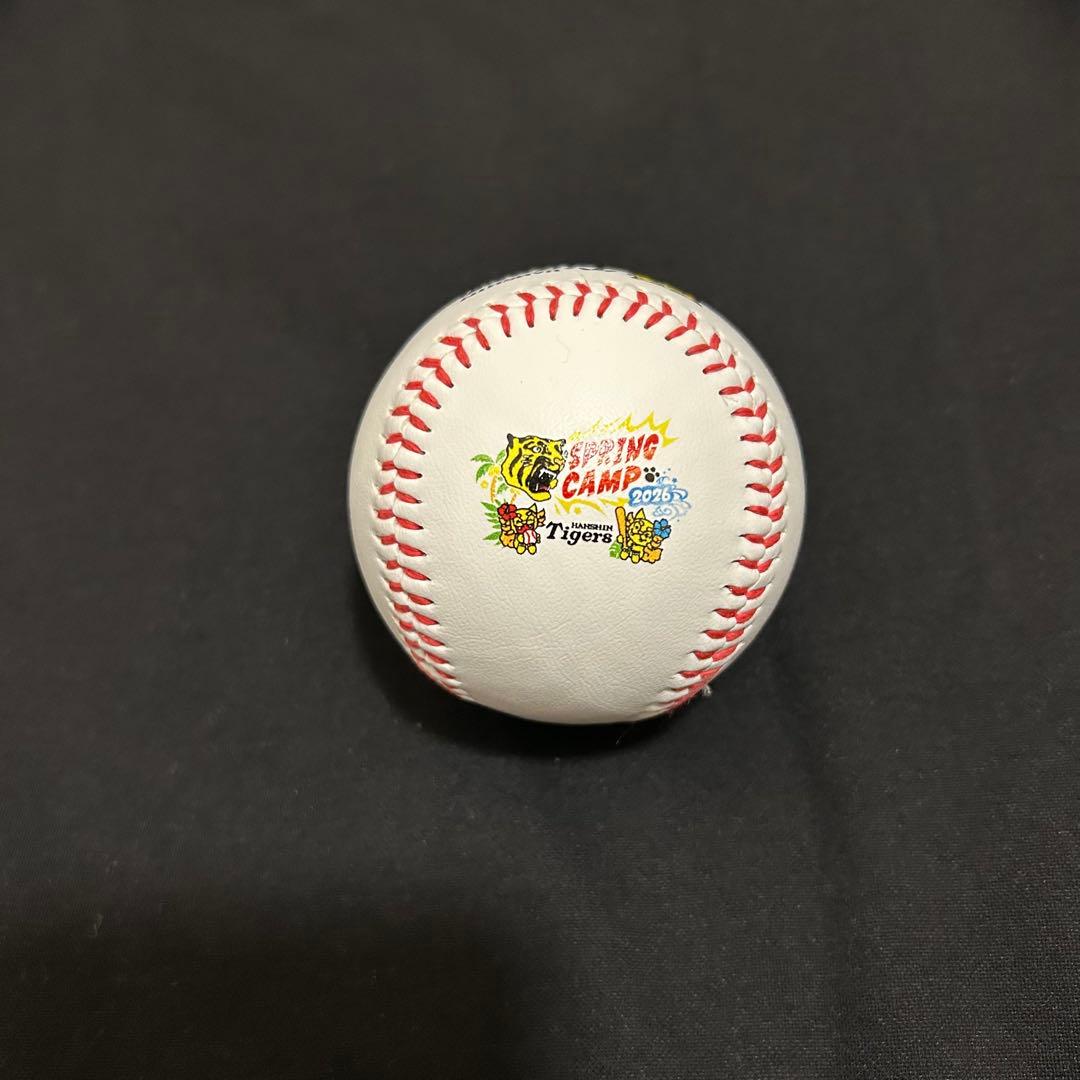 阪神タイガース　才木浩人　直筆サインボール　キャンプ限定