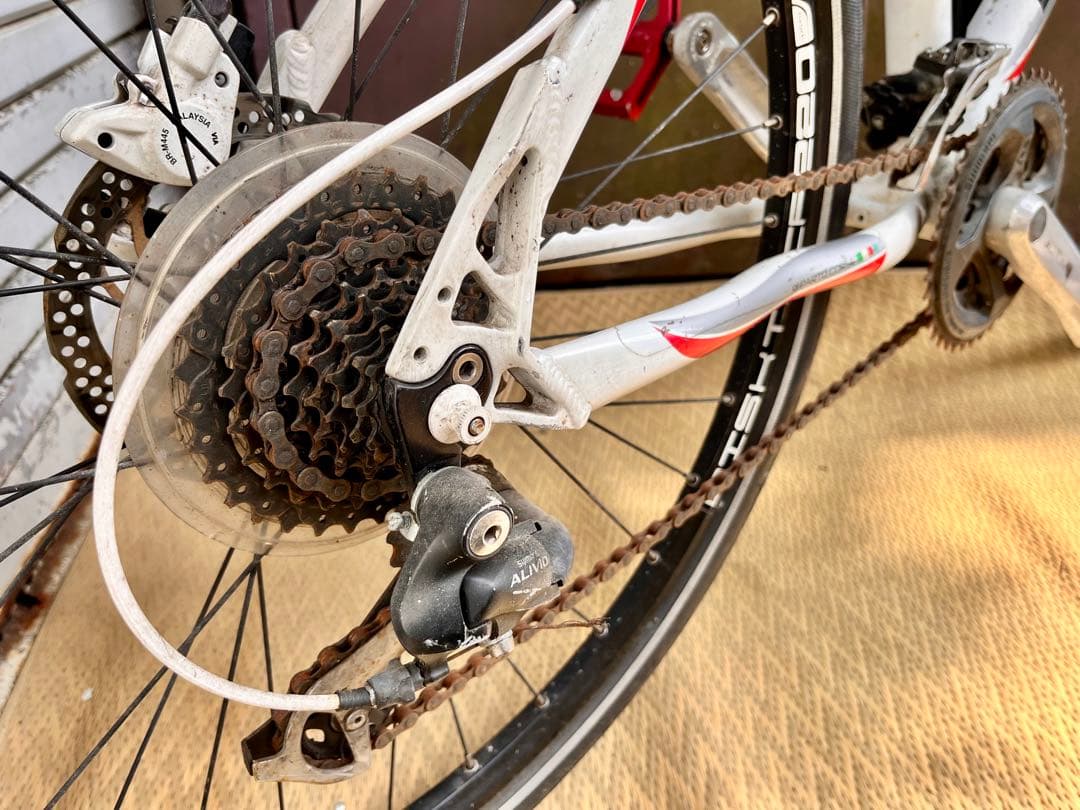 ③【送料無料】Bianchi ビアンキ KUMA 5100 19インチ