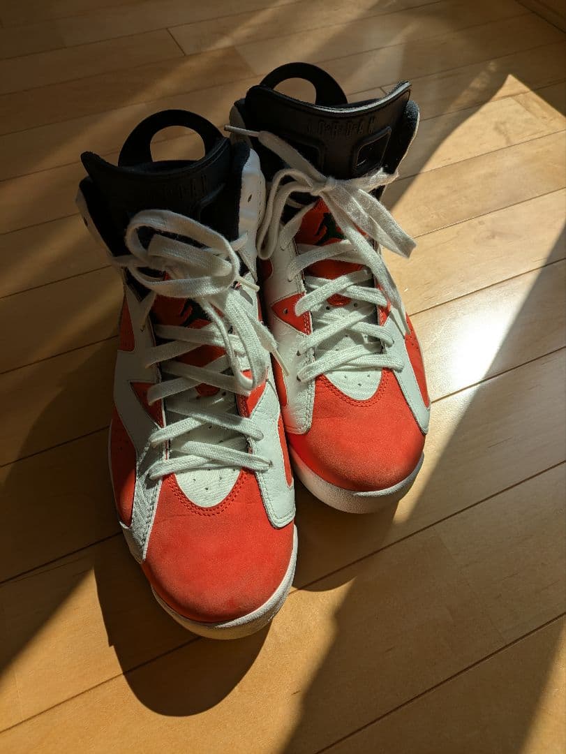 NIKE Air Jordan 6 Retro 28センチ