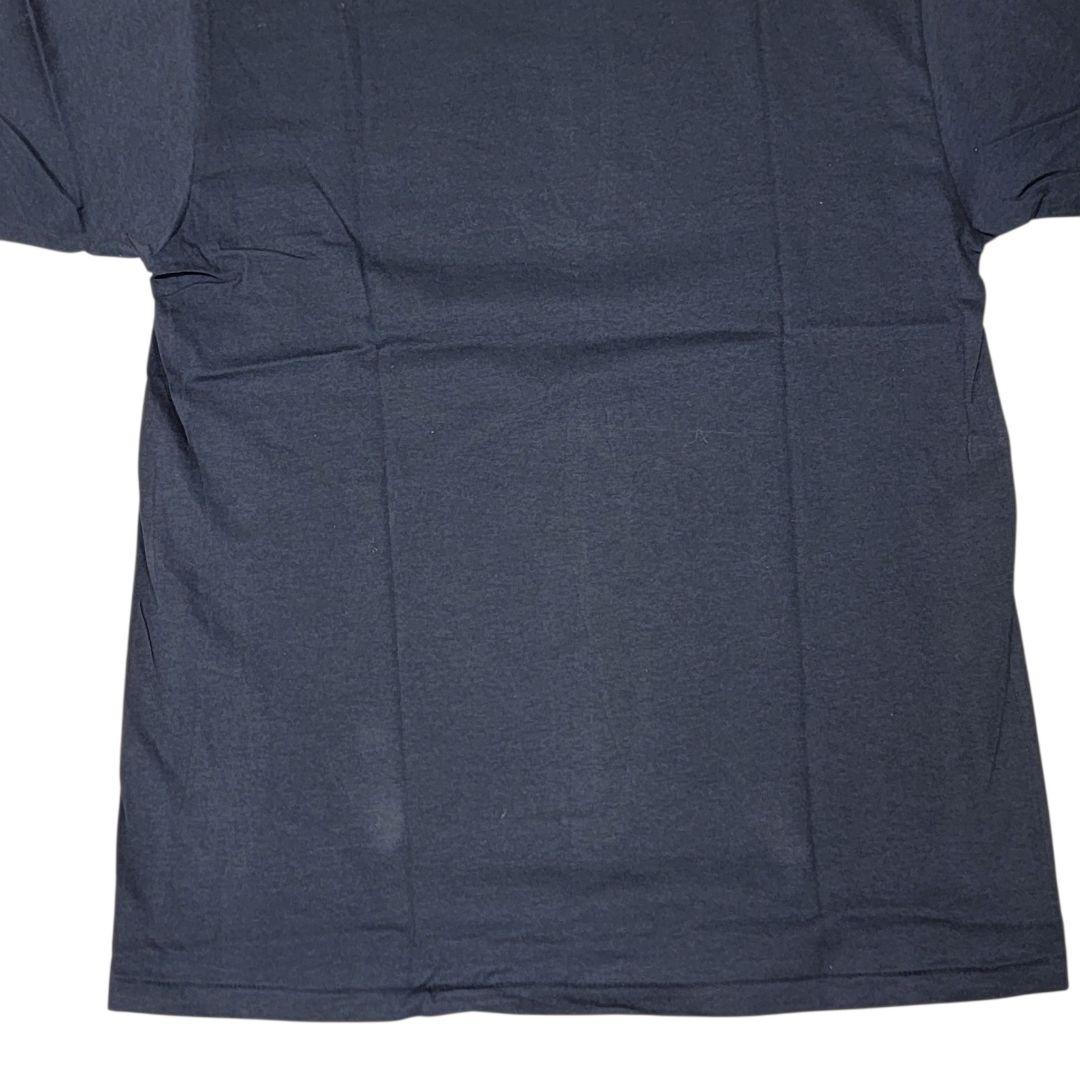 ミント級 hide with Spread Beaver チロリン Tシャツ