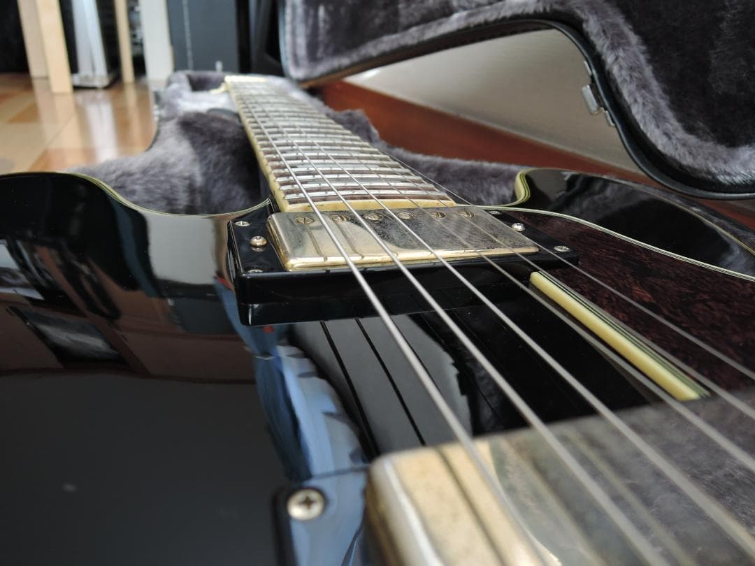 ギター Epiphone B.B.King Lucille