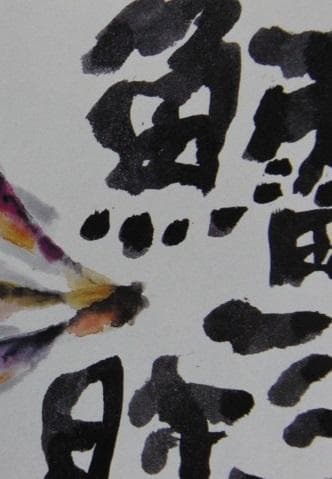 片岡鶴太郎、【はたはた三昧】、希少な額装用画集より、美品、日本人画家
