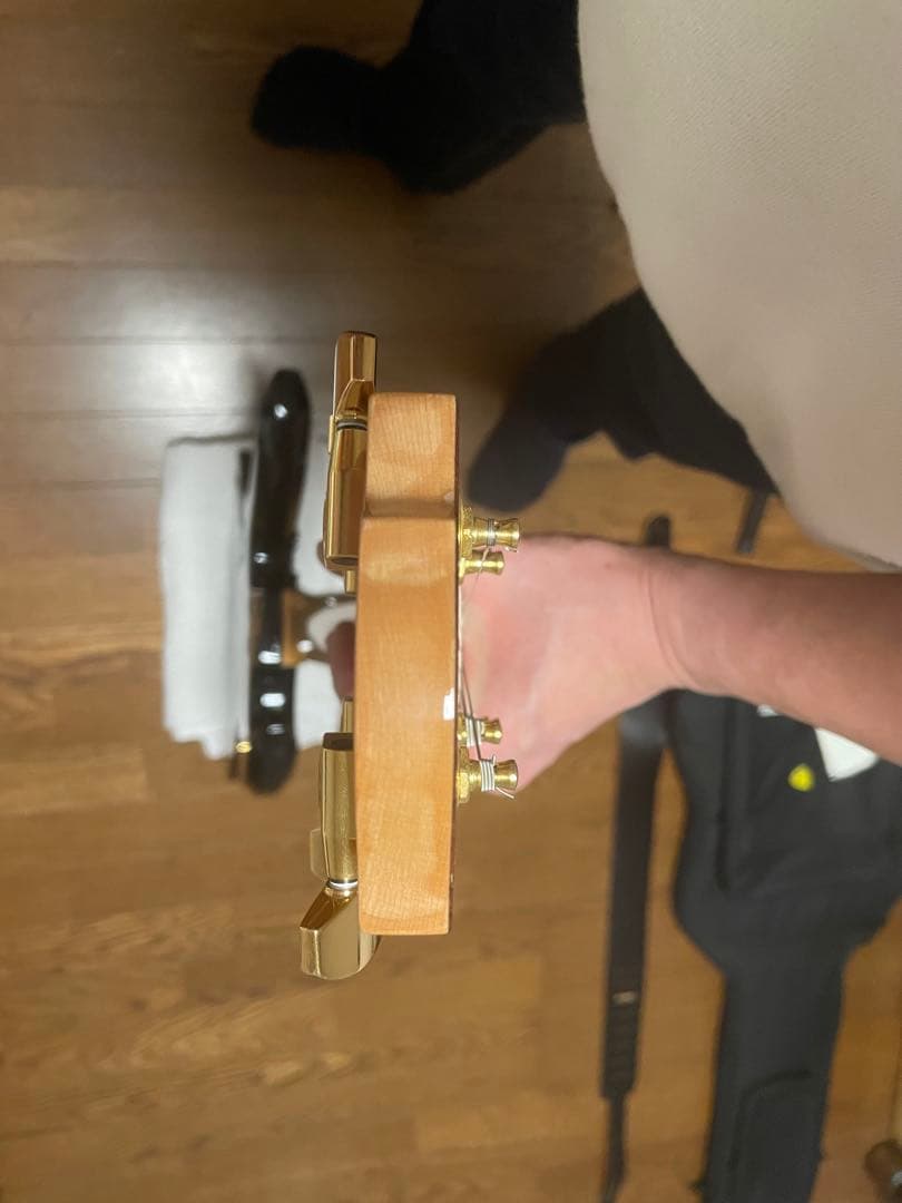 フェルナンデス　MG100x hide ギター (80.120x、同等品)