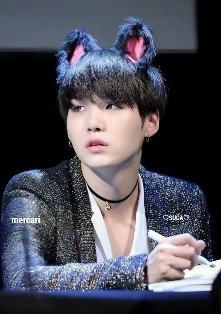 BTS ぬいぐるみ 10cm SUGA AgustD ユンギ テテ ジン ジミン