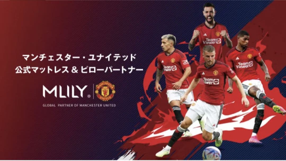 MLILY エコヘルスピロー