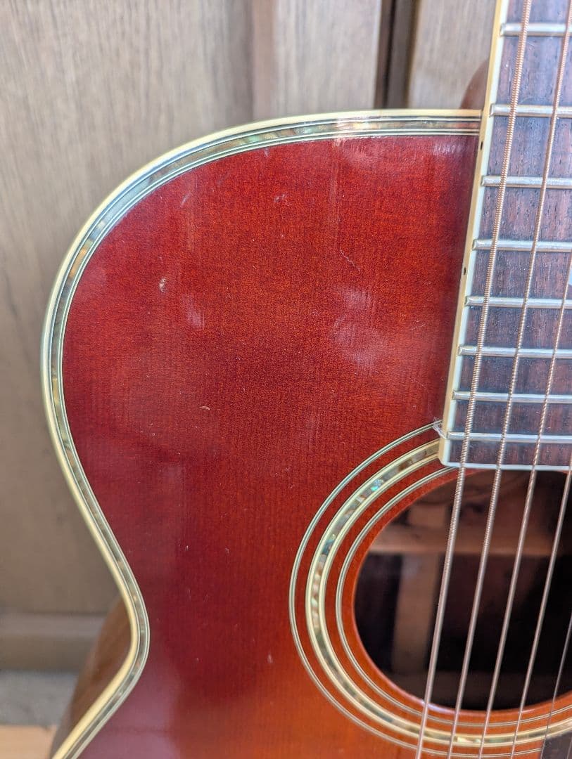 ♪訳あり！Morris　M-50F ハカランダ♪