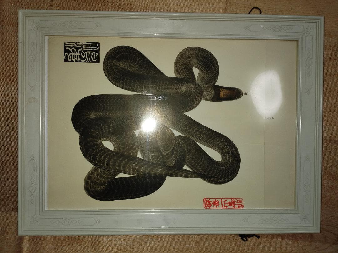 那智山一筆蛇