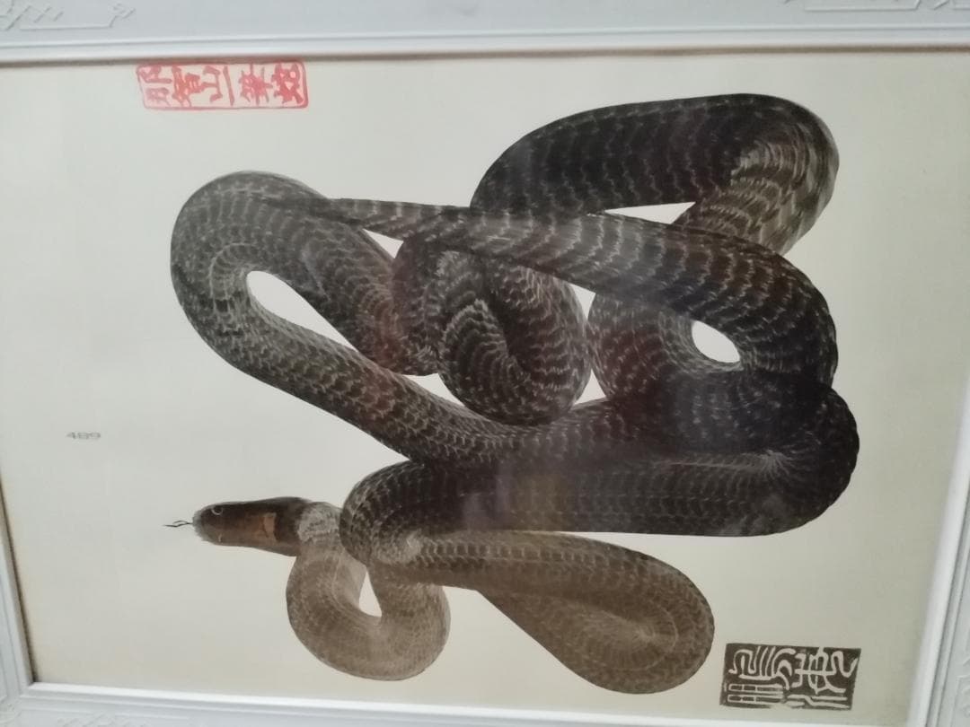 那智山一筆蛇