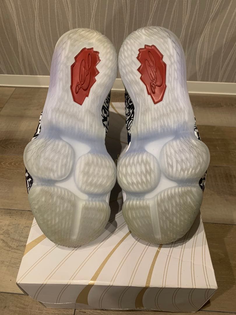 NIKE LEBRON 17 EP “Cold Blue” ナイキ レブロン17