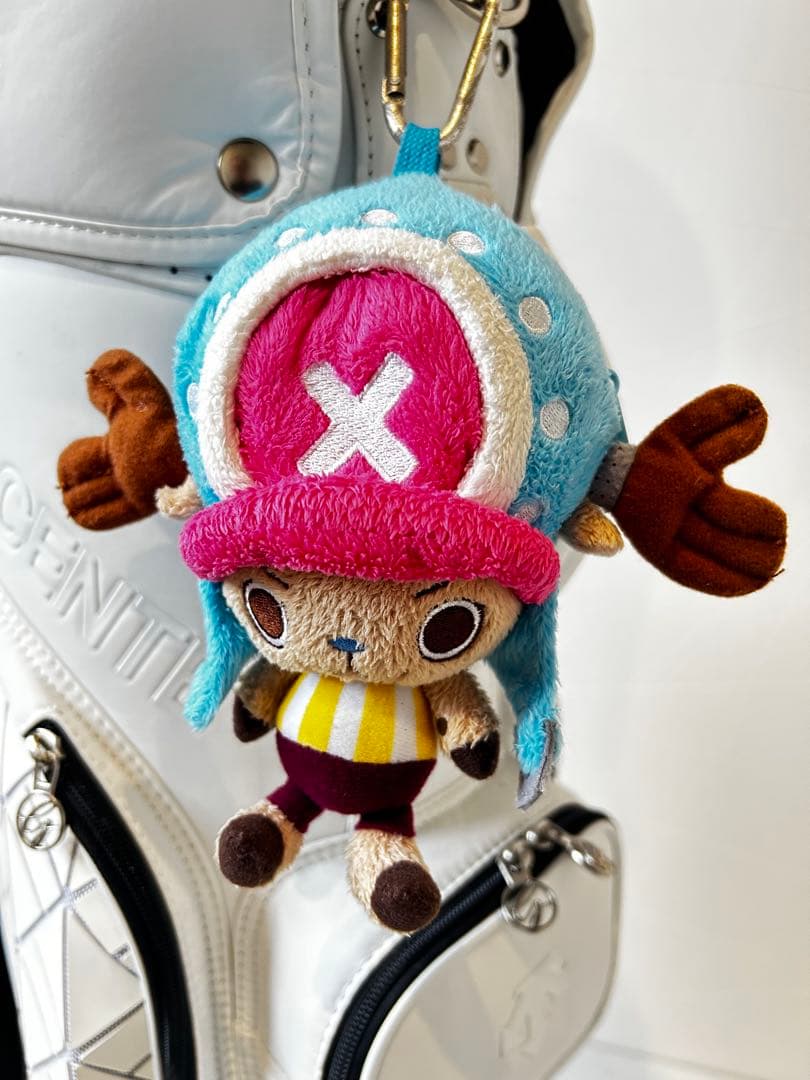 DESCENTE キャディバッグ ゴルフクラブセット 初心者向け おまけ付き