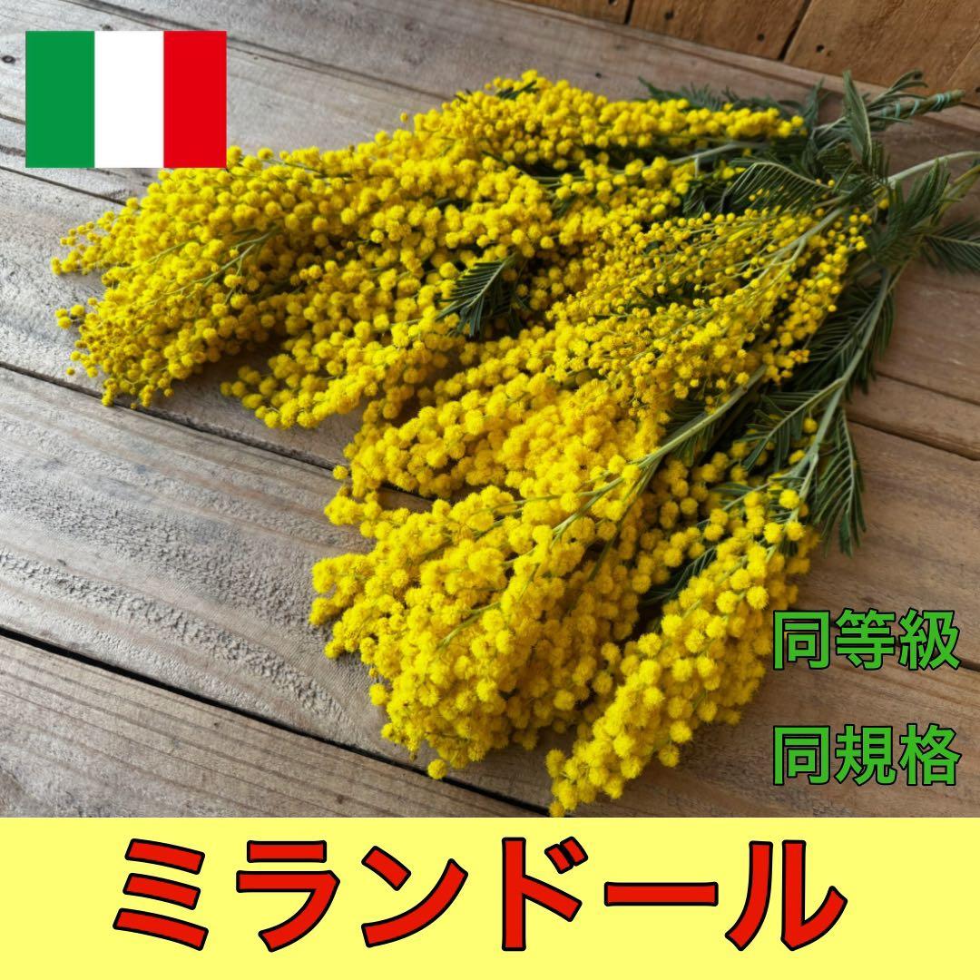 モモ様 リクエスト 2点 まとめ商品
