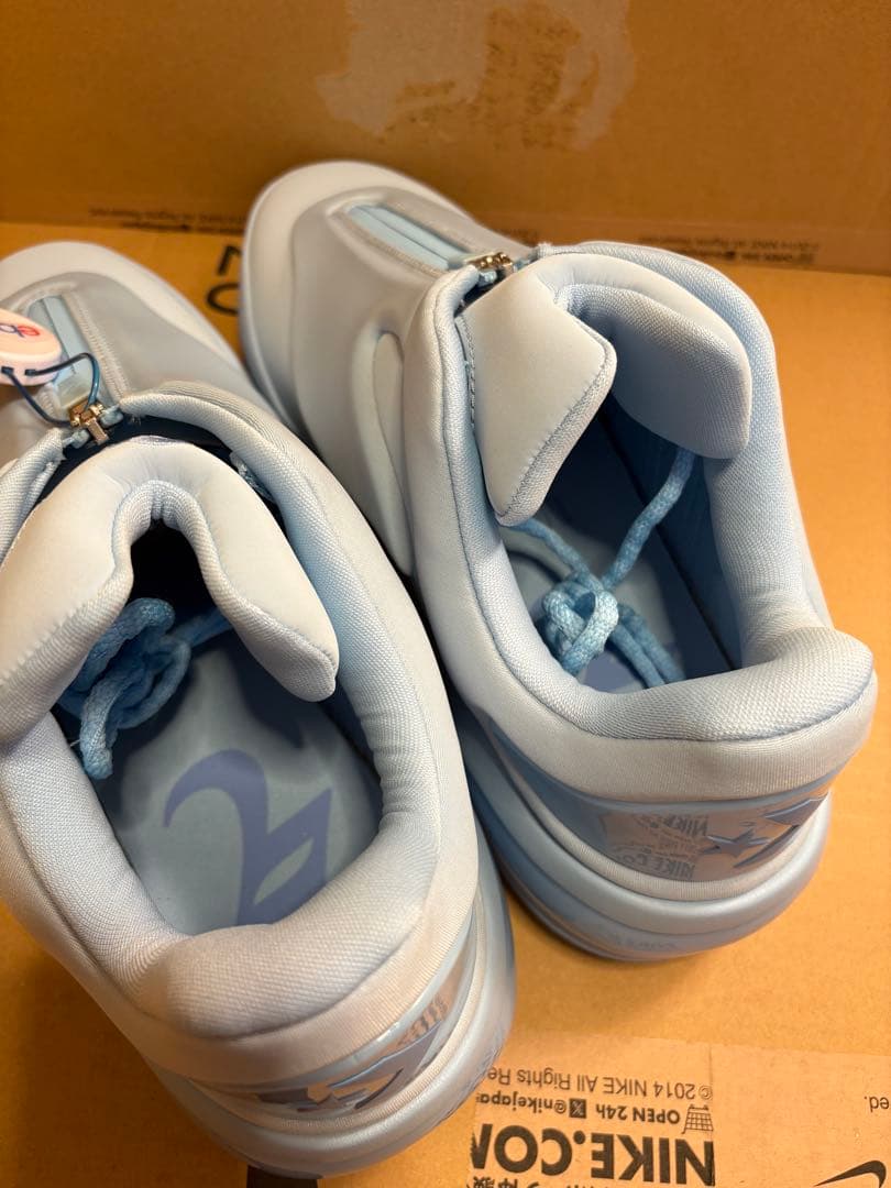 SHAI001 30cm 新品 鑑定保証