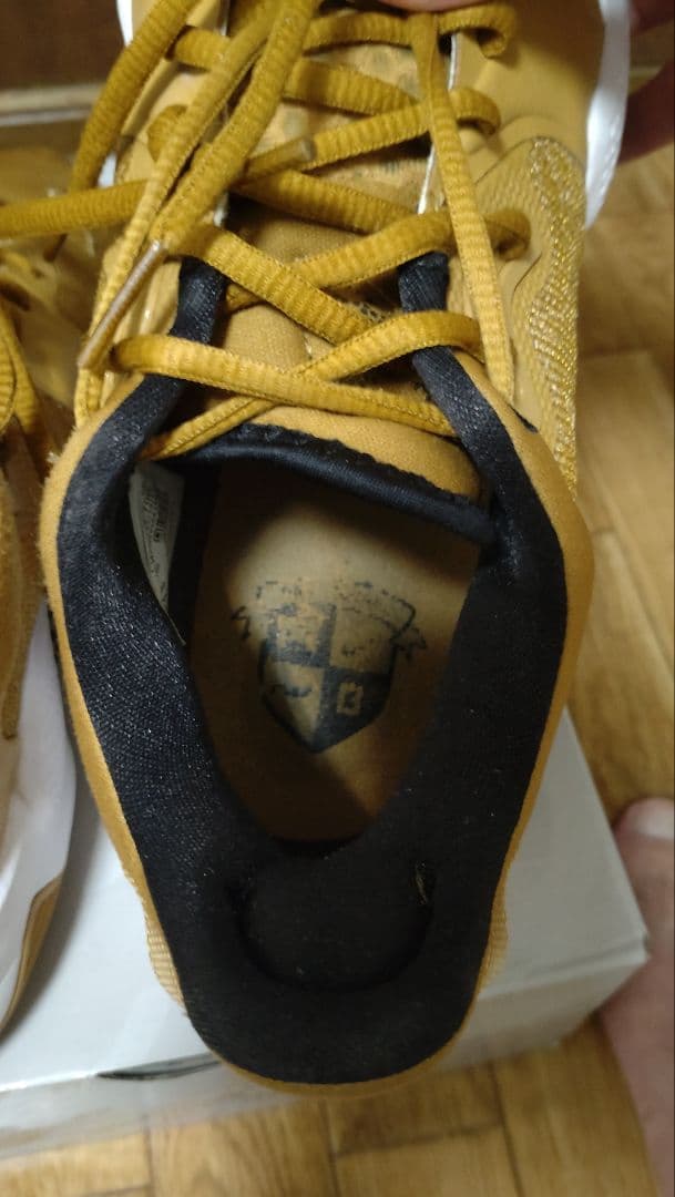 nike　pg5　ゴールド