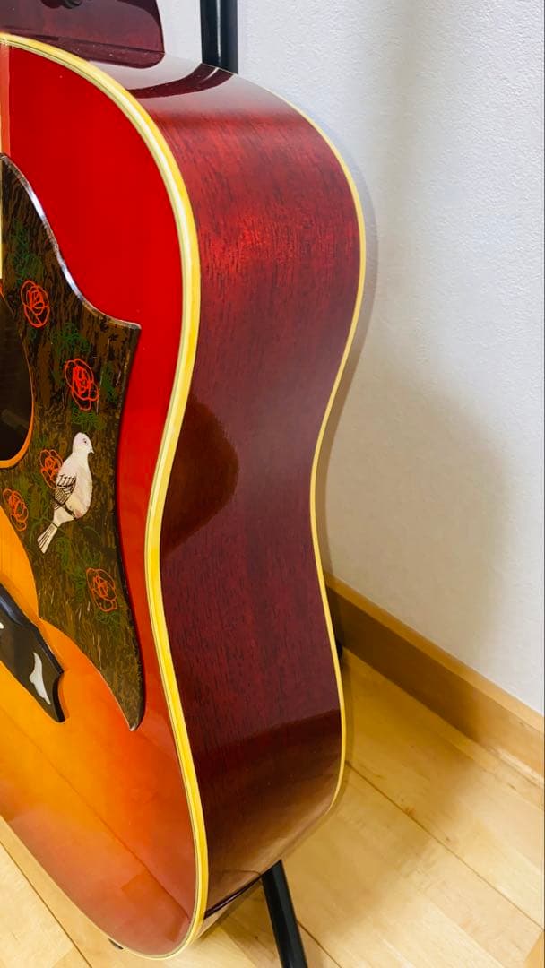 Morris WD25 JAPANVintage GibsonDOVEモデル