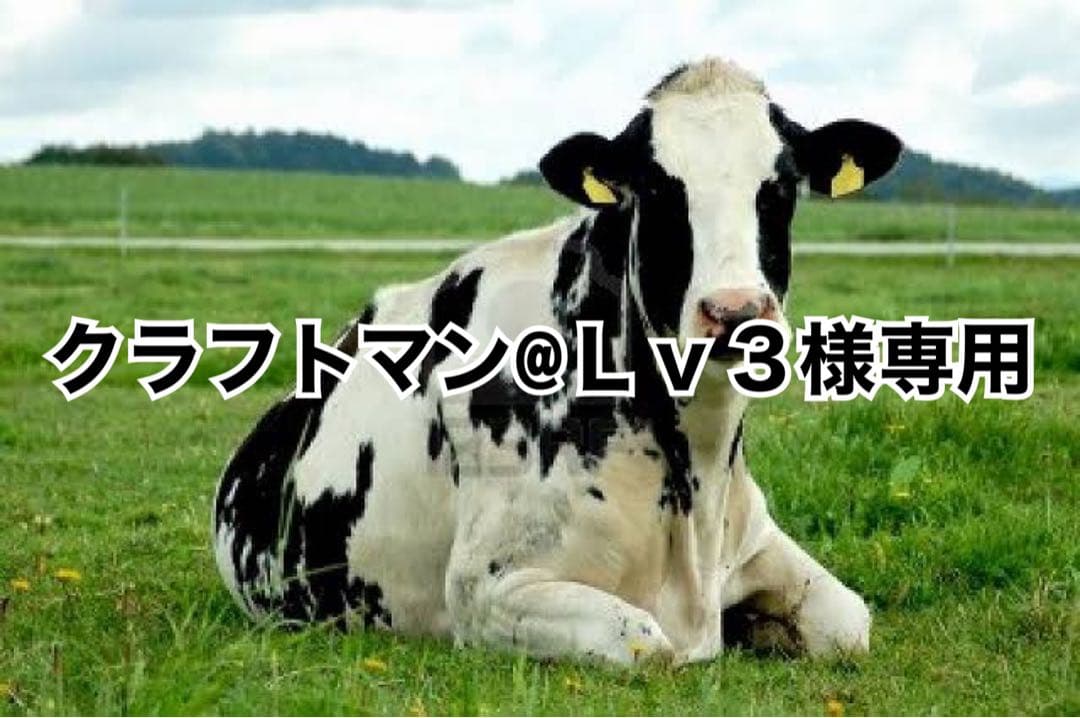 画像内容