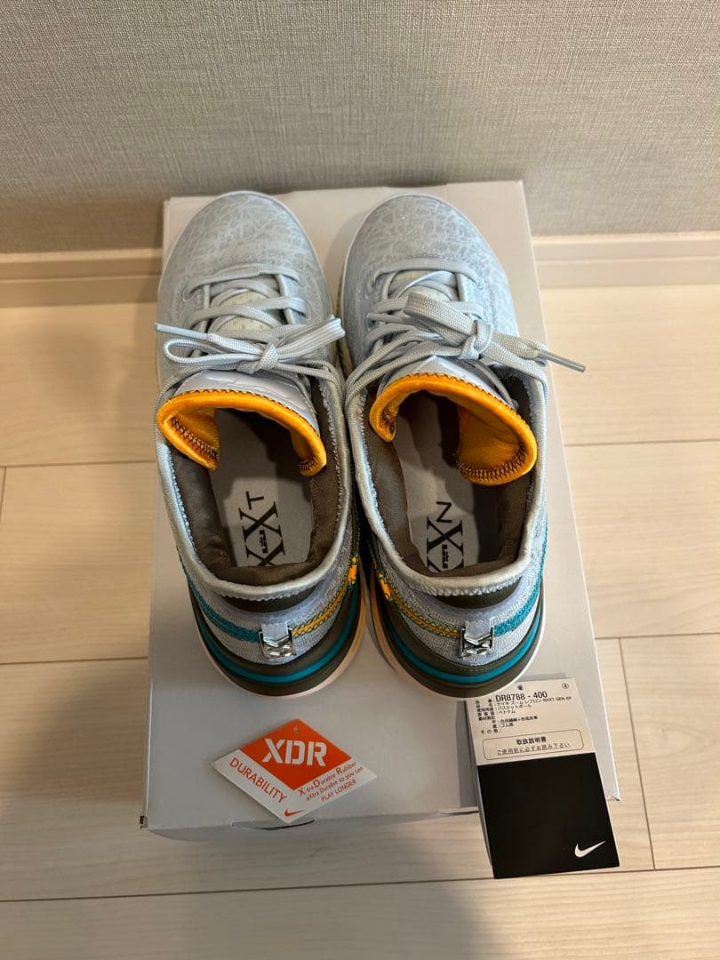 シューズ(男性用) Nike ZOOM LEBRON NXXT GEN EP