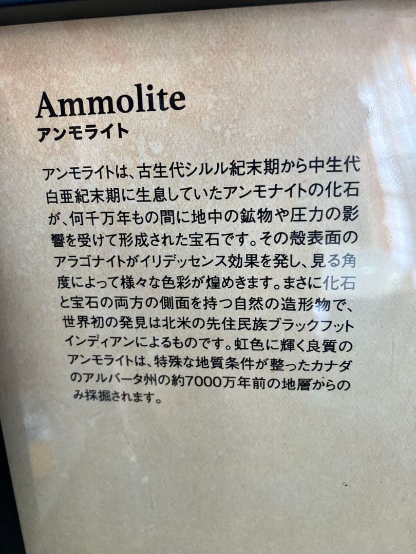 アンモライト⭐︎200カラット（41g ）