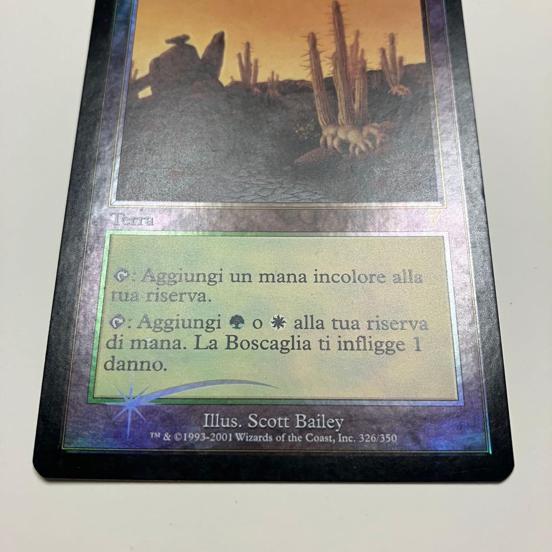 MTG 低木林地 イタリア語版 1枚 foil 7ED