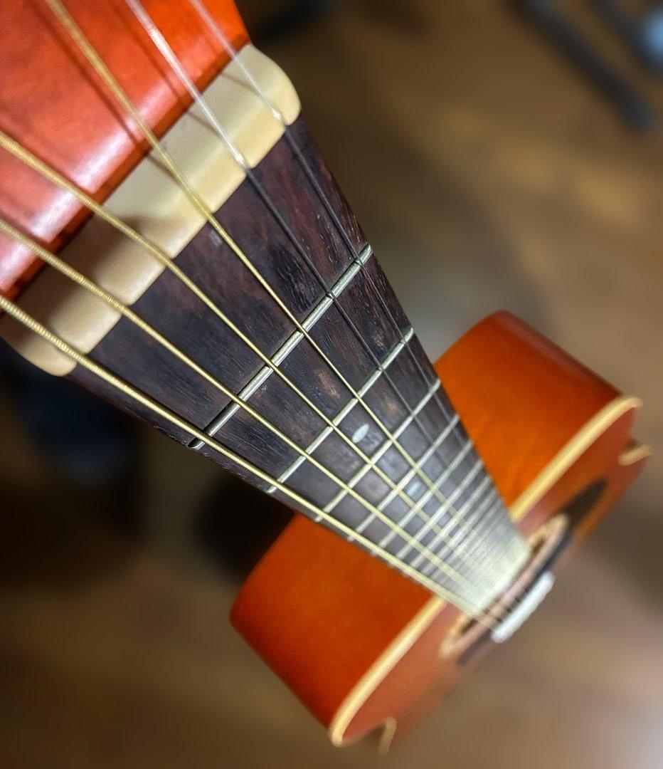 ライカ　Art&Lutherie Folk Cedar Sunrise