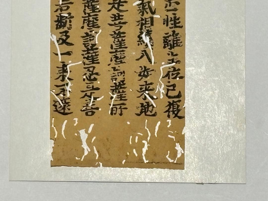 「沙門性恵願経 大般若経巻第四六〇」応永十七年刊 5行1枚|古典 経典