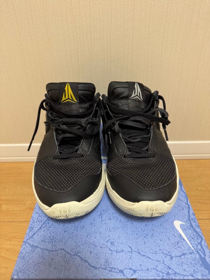 JA1 NIKE バスケットボールシューズ