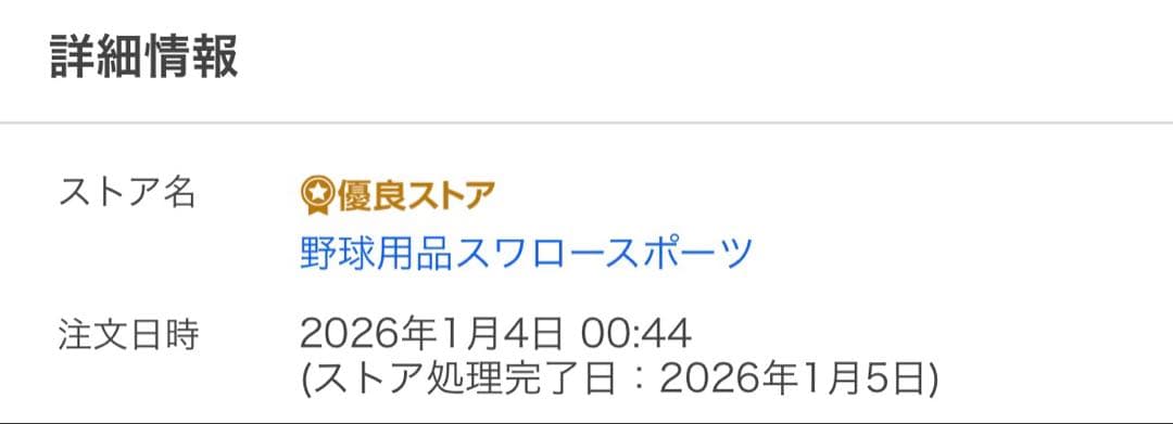Hi-GOLD ハイゴールド 軟式キャッチャーミット 己極