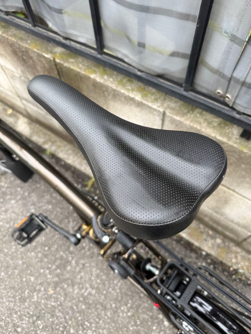 【極美品】ブロンプトン S6L ブラックエディション Raw Lacquer