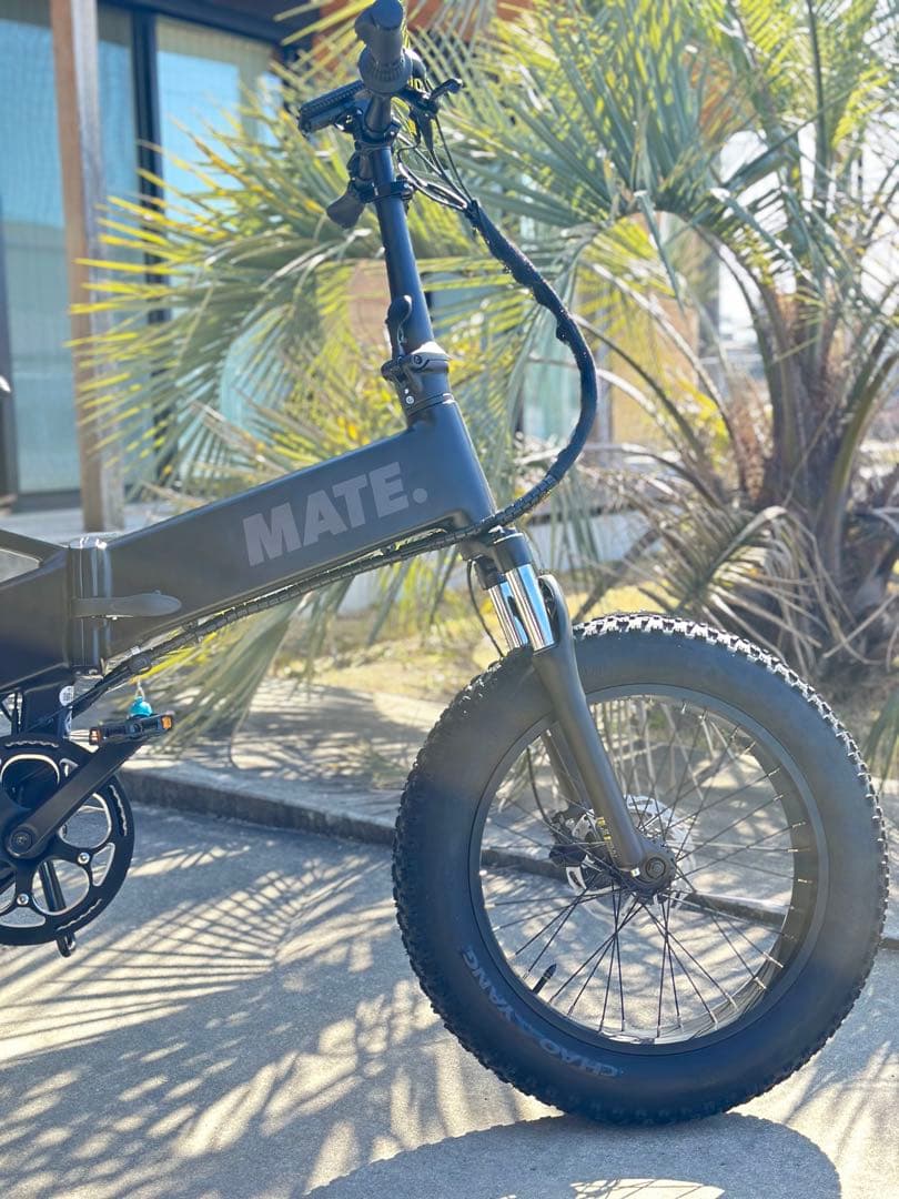 【美品】MATE X 250W eバイク 電動自転車 Subdued Black