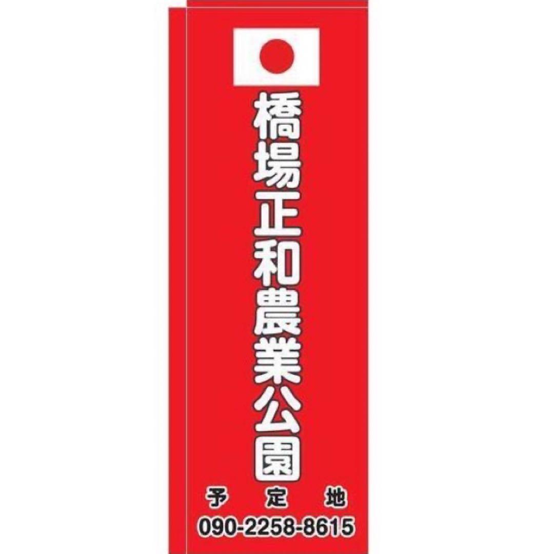 魯山人シリーズ【魯山人写しの器　色絵春秋長角盛皿　寺田春栄　作】