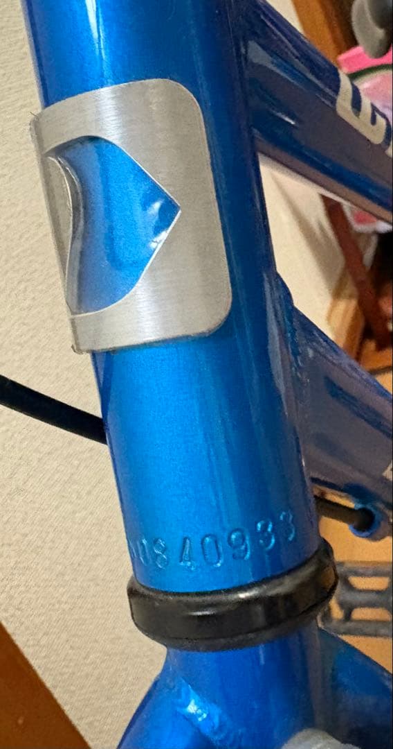 LOUIS GARNEAU ルイガノ　キッズバイク 青　18インチ