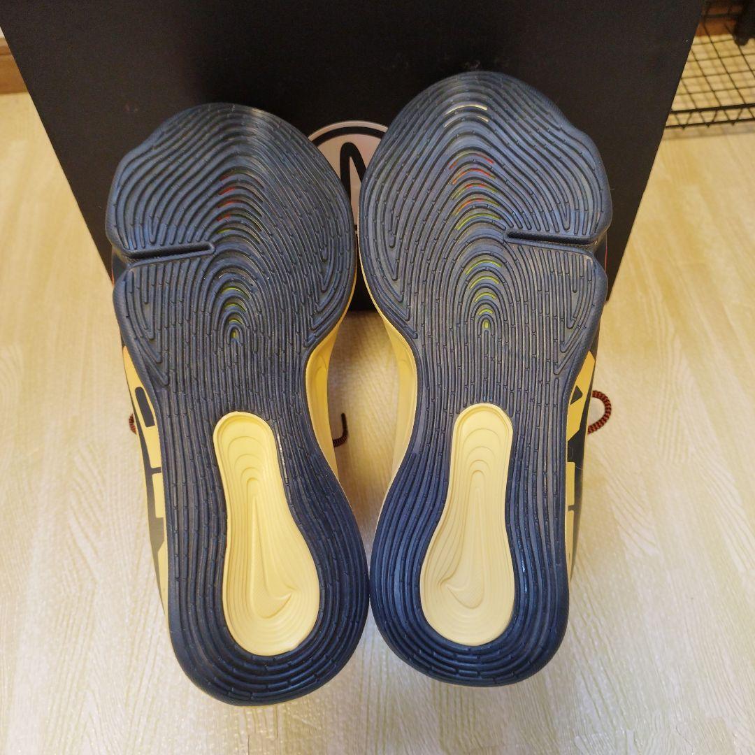NIKE GT ハッスル3 EP 29cm